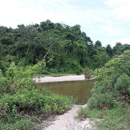 Cabana Wiwa Tayrona Los Naranjos Exteriér fotografie