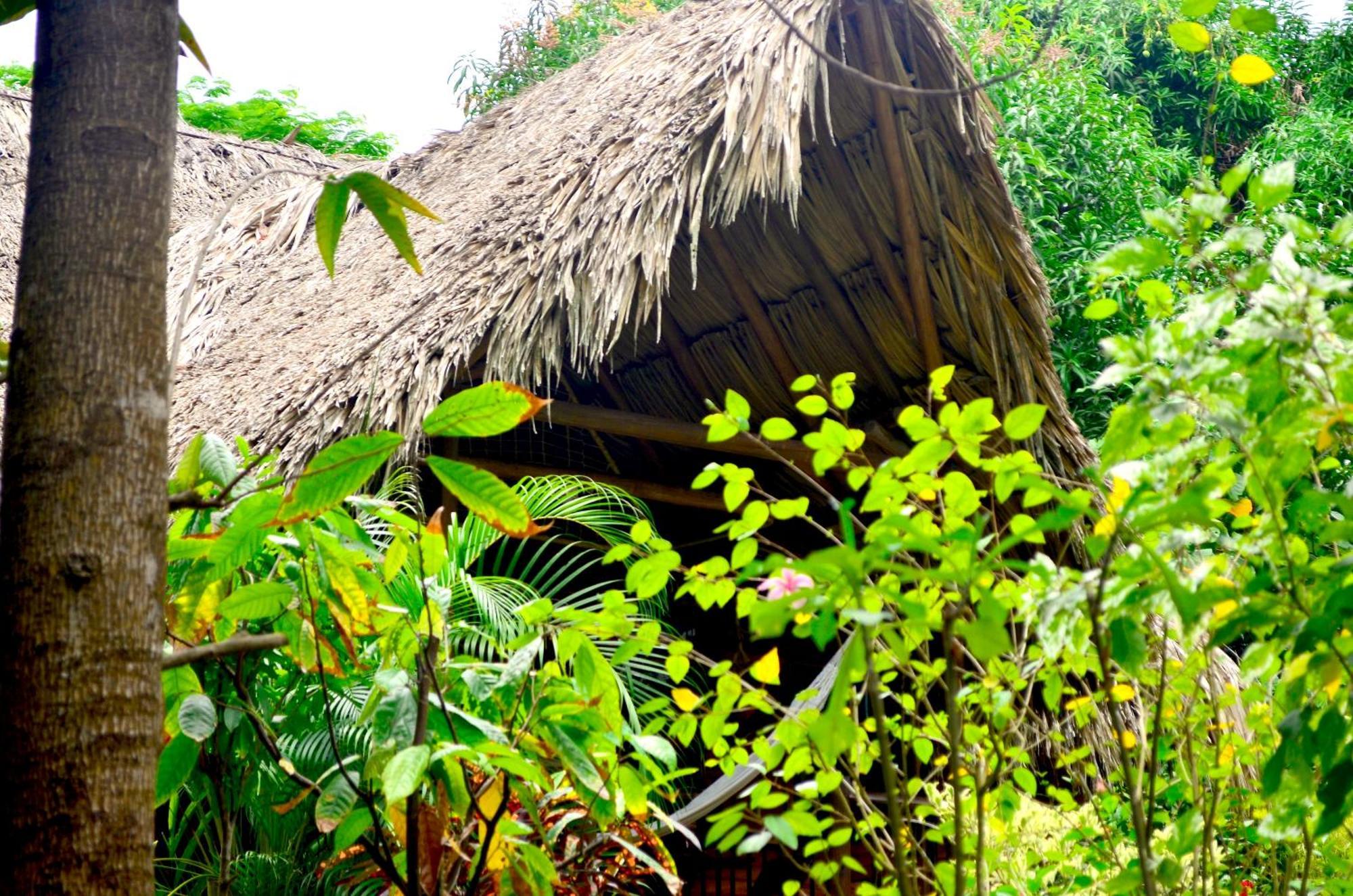 Cabana Wiwa Tayrona Los Naranjos Exteriér fotografie