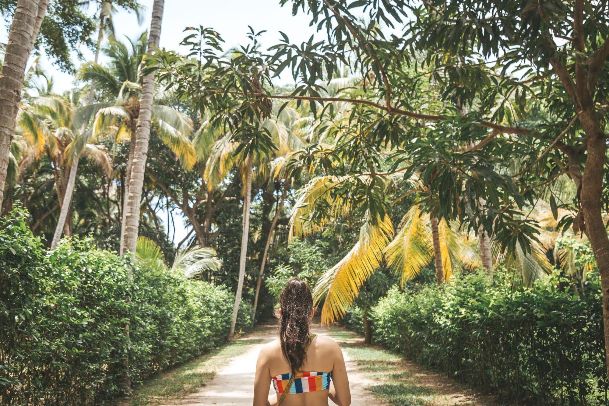 Cabana Wiwa Tayrona Los Naranjos Exteriér fotografie