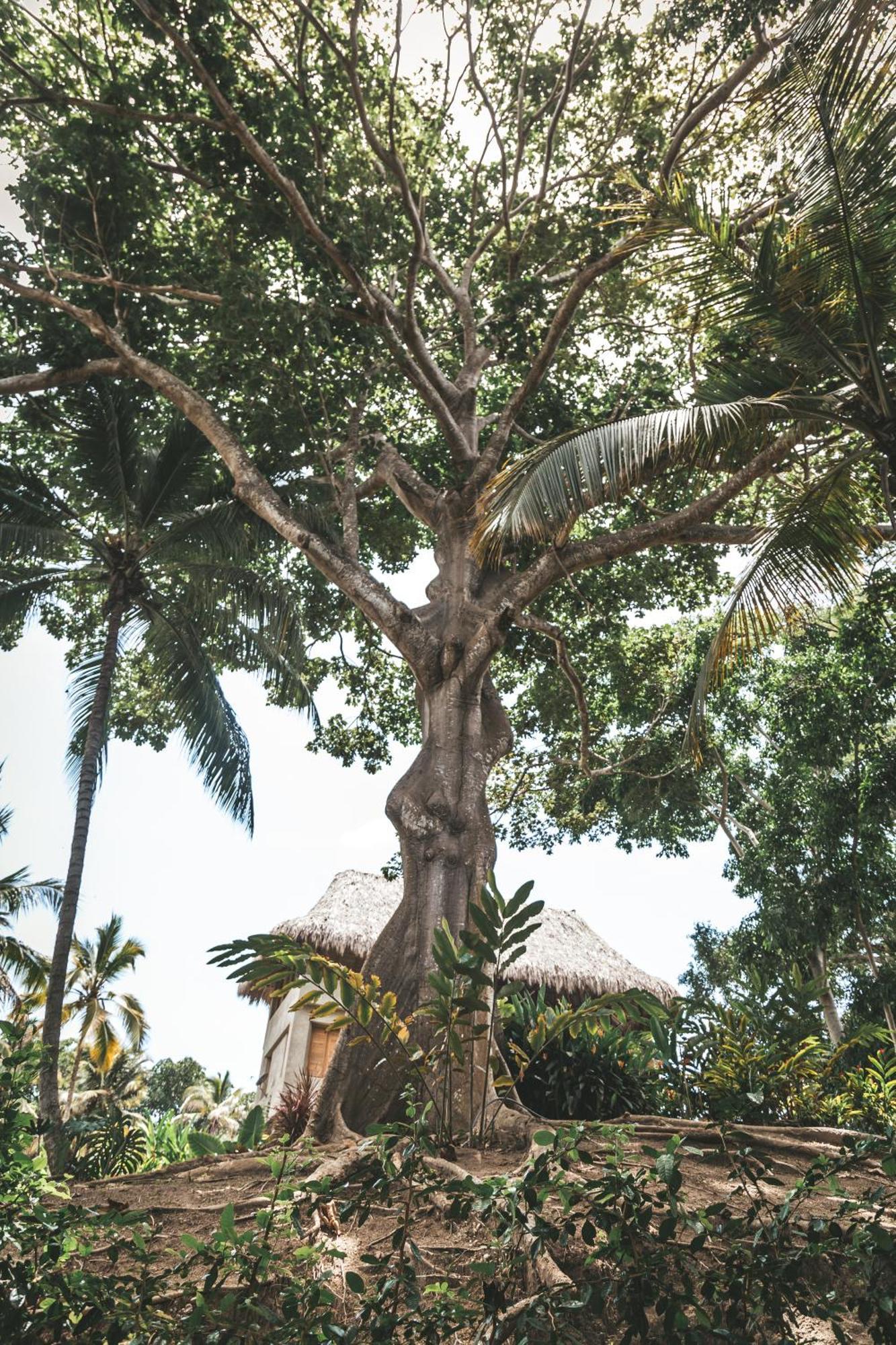 Cabana Wiwa Tayrona Los Naranjos Exteriér fotografie