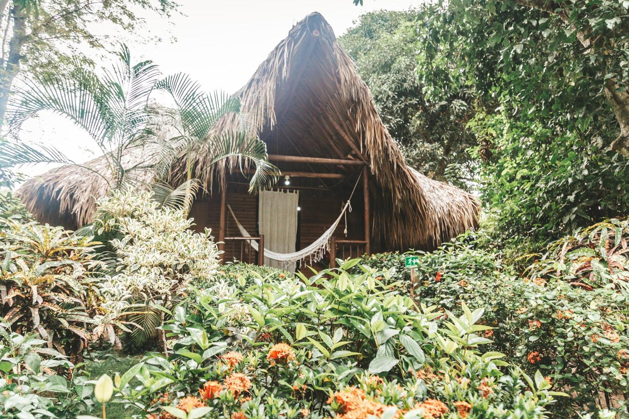 Cabana Wiwa Tayrona Los Naranjos Exteriér fotografie